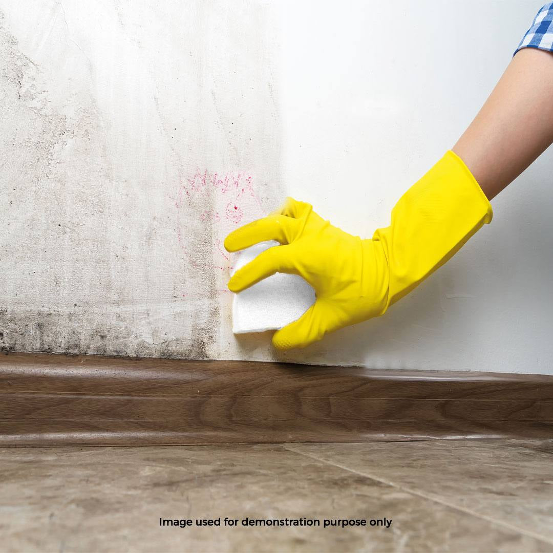 Schmutzradierer Magic Sponge 2 Stk.